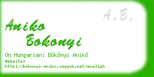 aniko bokonyi business card